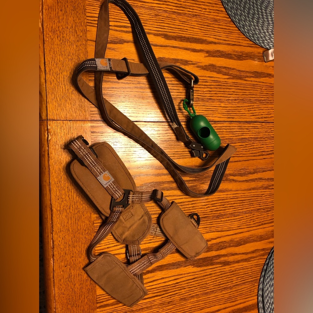 Carhartt dog harness and leash